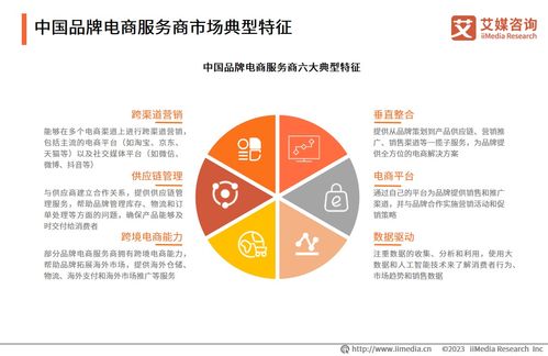 2023年中國品牌電商服務商行業(yè) 需求增長與咨詢服務發(fā)展展望