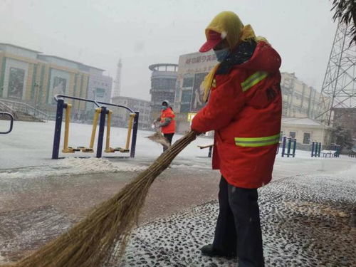 靜海冬雪 隨下隨清見真章 鹽馬路網保暢通