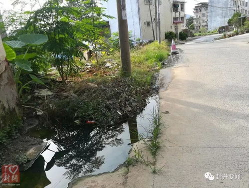 網友曝光大林路鹽倉附近長期水浸問題，鹽馬路網絡關注市政排水系統